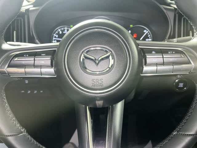 2025 Mazda Mazda CX-50 2.5 S Premium Plus Package