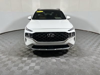 2022 Hyundai Santa Fe Calligraphy