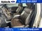 2009 Ford F-150 Platinum