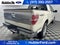 2009 Ford F-150 Platinum